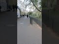 St James's Park 4K Walk | London City Tour