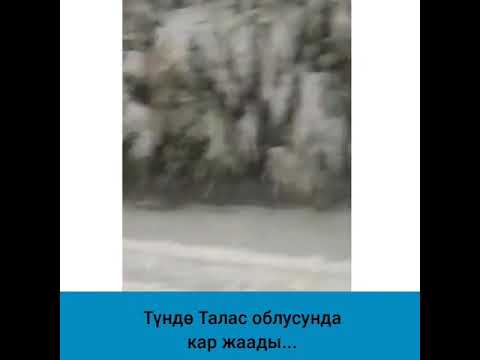 Video: Элдик белгилерди колдонуп, аба ырайын кантип алдын-ала айтууга болот