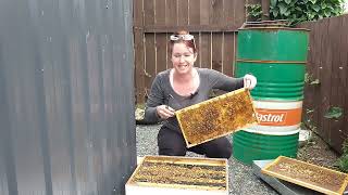 Beginner beekeepers: how to open your hive 🐝 Extra tips below 👇👇 Tip 1: always work your hive