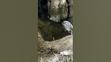 آيات تتلى… فتسكن بها الأرواح وتطمئن القلوب 💚#قرآن #راحة_القلب  #ريلز_قرآن#ياسر_الدوسري #اكسبلور