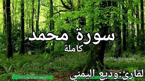 سورة محمد كاملة القارئ: وديع اليمني Surah Muhammad: Wadih Al-Yamani