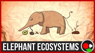 Why Protect Large Wild Animals.. like Elephants?