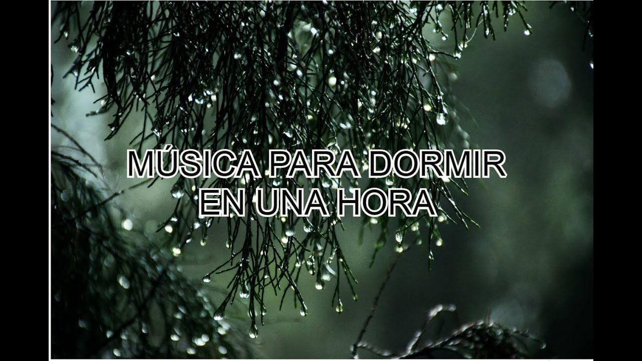 CANCIÓN para DORMIR LLUVIA -RELAJANTE- 1 hora - SIN ANUNCIOS-💤 - YouTube