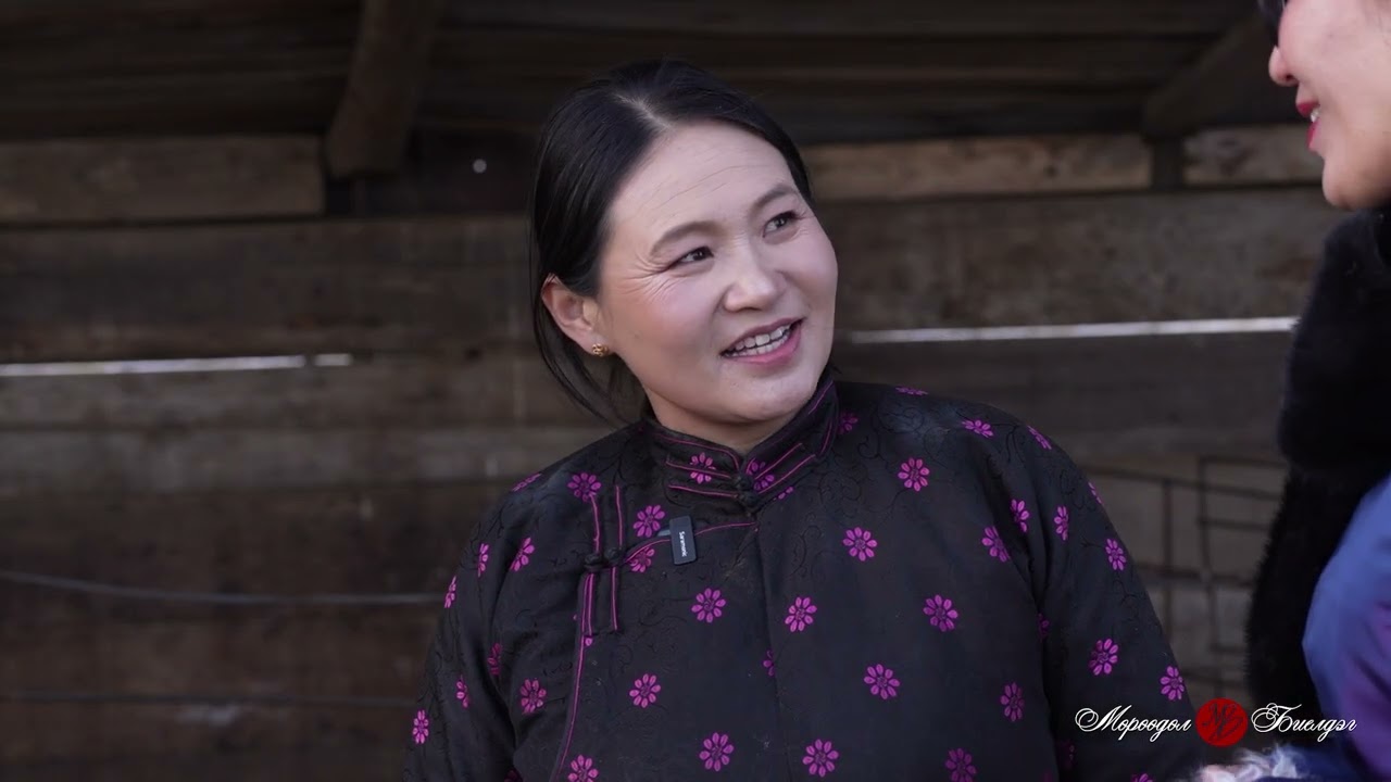 Мөрөөдөл биелдэг Цагаан сар 2 15