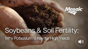 Soybeans and Soil Fertility: Why Potassium is Key for High Yields