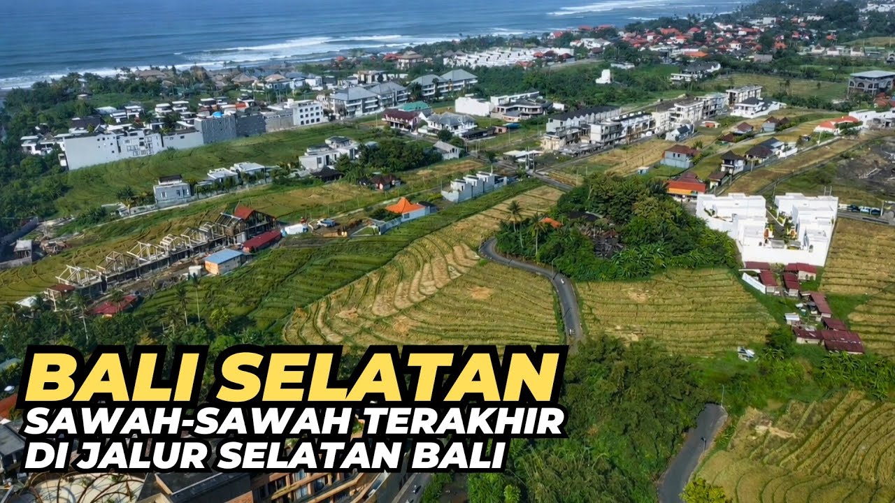Sawah - sawah Terakhir di Jalur Lintas Selatan Bali | Shortcut dari Canggu ke Pantai Cemagi