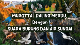 SUARA ALAM RELAKSASI   SUARA BURUNG | MUROTTAL MERDU MISARY RASYID |  RELAKSASI JUZ 4 FULL