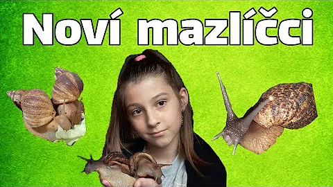 Jaké jsou recepty na jablečný Pie?