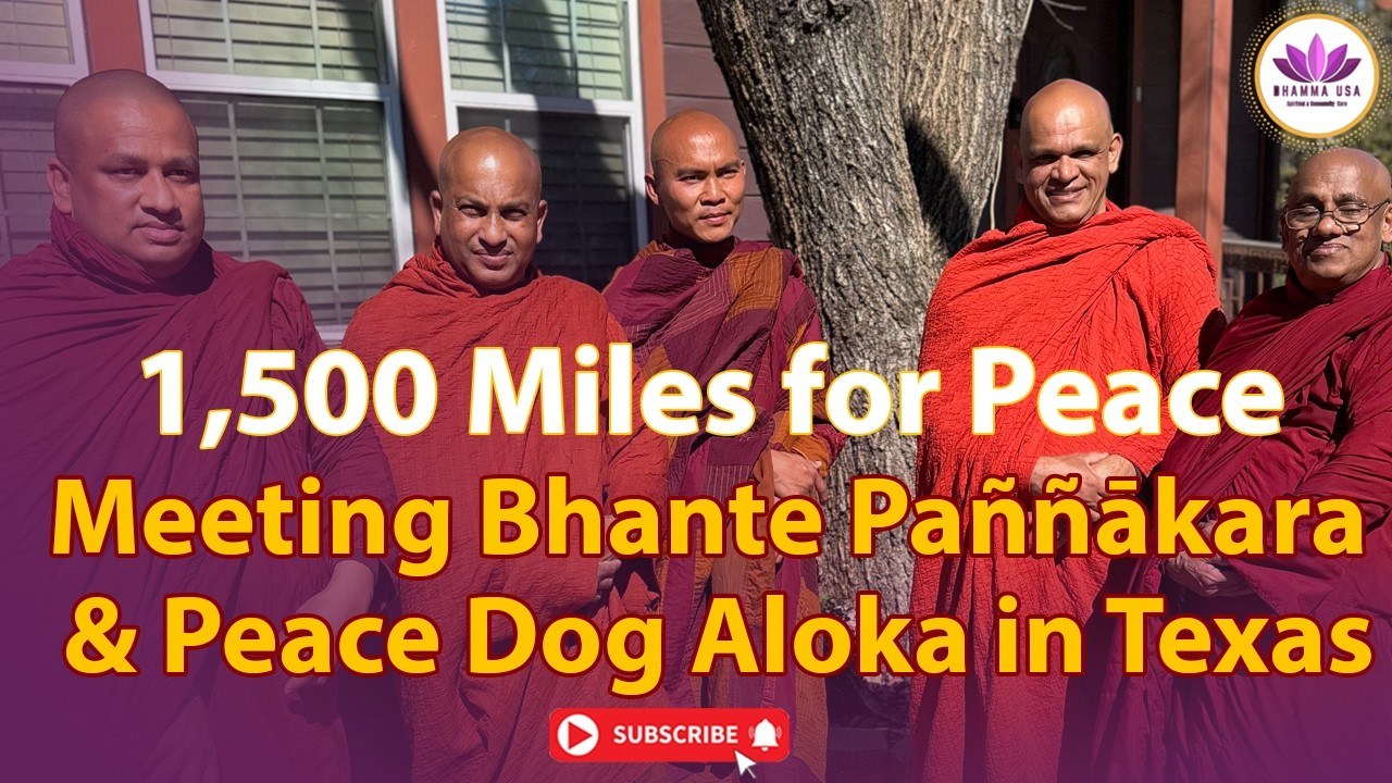 1500 миль за мир: встреча с Бханте Панньякарой и собакой-поводырем Алокой в ​​Техасе.