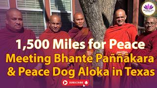 1,500 Miles for Peace: Meeting Bhante Paññākara \u0026 Peace Dog Aloka in Texas
