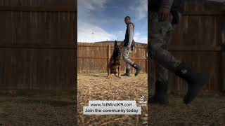 Join the community today