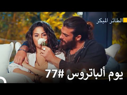 أنت زهرتي الوحيدة سلسل الطائر المبكر