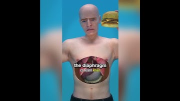 Tại sao ăn quá nhanh gây nấc cụt?