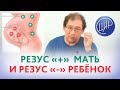 Резус-положительная мать и резус-отрицательный отец. Может ли быть резус-конфликт при беременности?