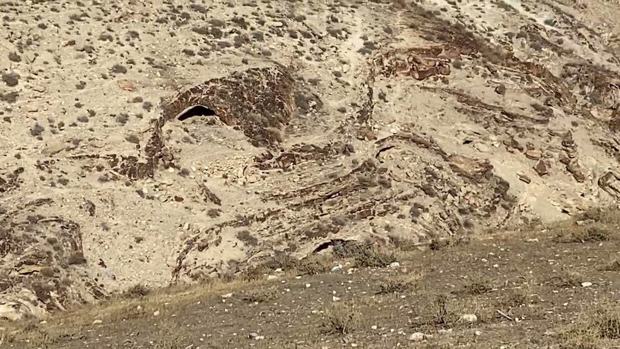 Walk With Me, to the desert land south of Jerusalem, Israel. Incredible wilderness