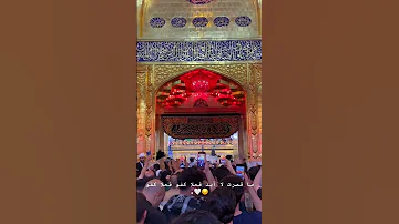ماقصرت لا ابد فعلا كفو فعلا كفو باسم الكربلائي باسم الكربلائي 