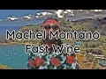 Machel Montano - Fast Wine lyrics