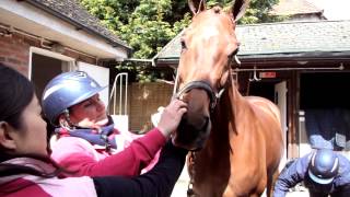 Katie Jerram makeover  - highlighting