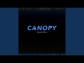 Miniature de la vidéo de la chanson Canopy