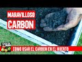 Carbón Vegetal como abono para el suelo - Qué es y como se usa el BioCarbon o Biochar en el huerto