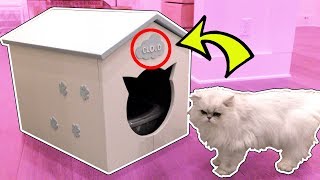 CLOUD'S SECRET HOUSE!