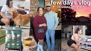 Fall Days in my life *23 weeks pregnant* 🧸 making chili, husbands birthday dinner, new pet groomer