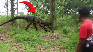 If These Creatures Were Not Filmed, No One Would Have Believed Them
