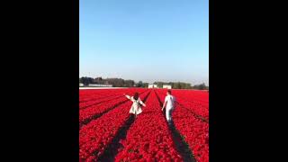 Whatsapp Ucun Maraqli Statuslar Sevgiye Aid Video Sounds App 2021 Status Ucun Video,Menali Video