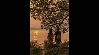 dark academia pov you're at your secret place  comfort playlist  classical study bgm 1080p