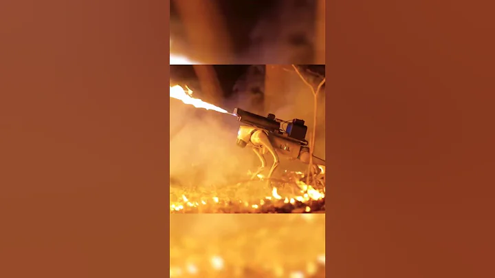 'Thermonator': Flamethrower wielding robot dog demonstrates capabilities