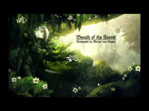 Celtic Music - Breath of the Forest