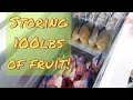 Buying FREEZER! - Storing 100lbs of FRUIT!