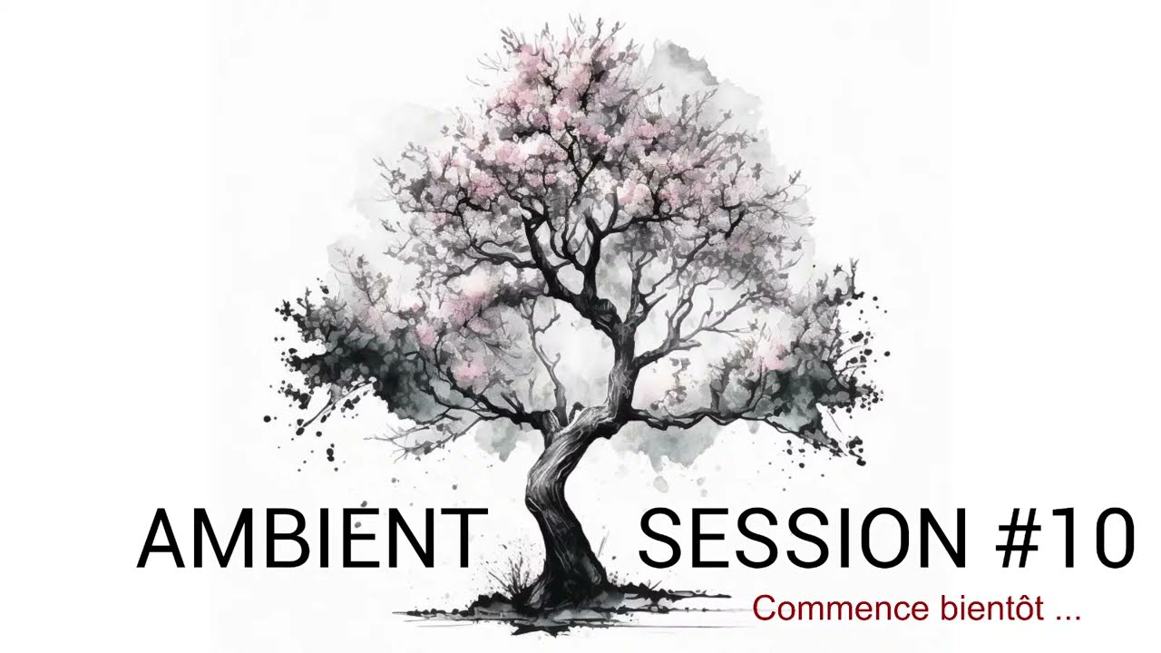 Alsyn Ambient Session #10 (Tom + Ianis)