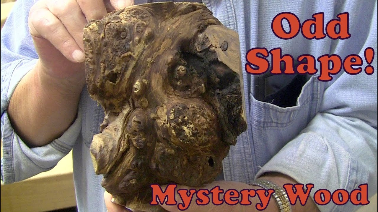 Odd Shaped 👀 Mystery Wood!  What's Your Guess? - Wood Turning