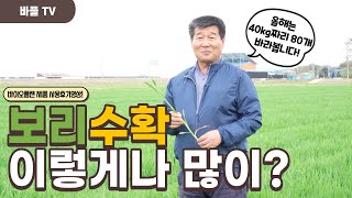 [바플티비]보리농사 수확을 이렇게나 많이?? 비법공개