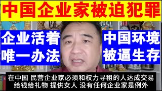 翟山鹰：中国的民营企业家只能被迫“犯罪”丨中共政府环境下 被逼生存丨企业活下去 唯一办法