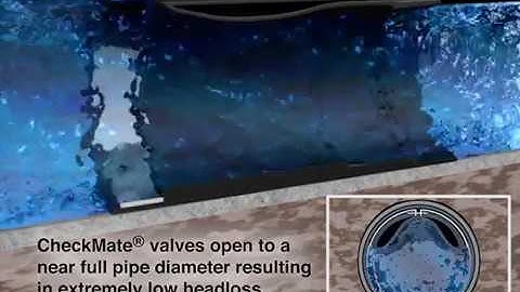 Tideflex Checkmate Valve in Action