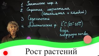 Рост растений. 7 класс.