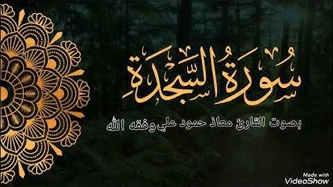 سورة السجده تلاوة خاشعة للقارئ معاذ حمود علي حـفـظـه الله