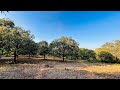 #waterstreamtouch 4 Acre #mangofarm For Sale in #karjat Towards #bhimashankarhills Call us9773181911