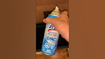 How to keep trash can fresh and bug free