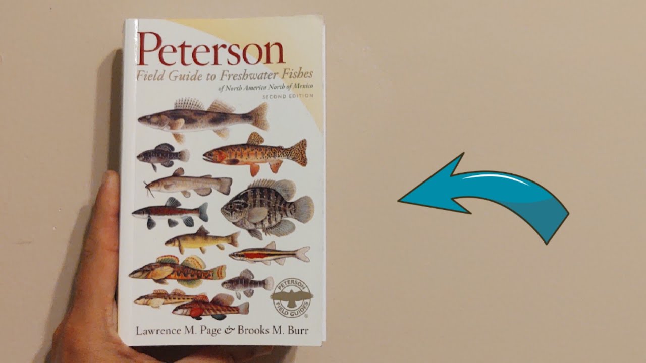 Peterson Field Guide to Freshwater Fishes