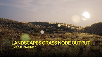 Landscapes Grass Node Output | Unreal Engine 5