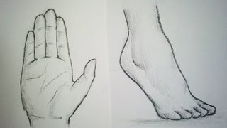 Comment dessiner des Mains & Pieds [Tutoriel]