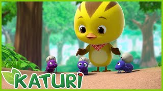 KATURI - Le royaume des fourmis ! Dessin animé HD