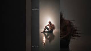 Chris Arden - Last Goodbye #deephouse #melodichouse #chillhouse #HouseMusic #Chill #ElectronicMusic