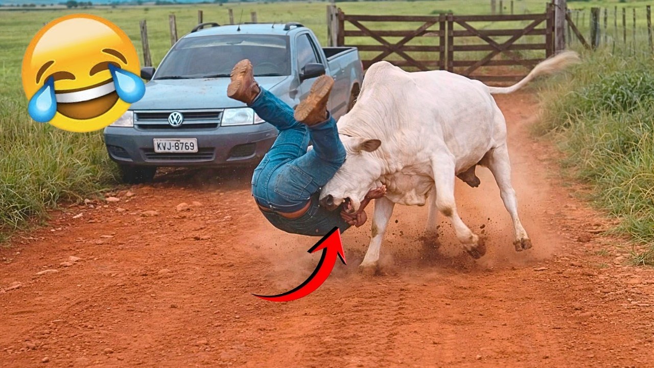 Tantangan Coba JANGAN Tertawa 🤣🔥 Video Paling Lucu Minggu Ini | Kompilasi 06