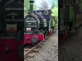 🚂🚂 Talyllyn and Tom Rolt Double Head out of Dolgoch #railway #steam #shorts