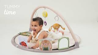 Taf toys Tummy Time Activity Gym