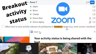 Zoom 2022 breakout activity status tracking screenshot 3